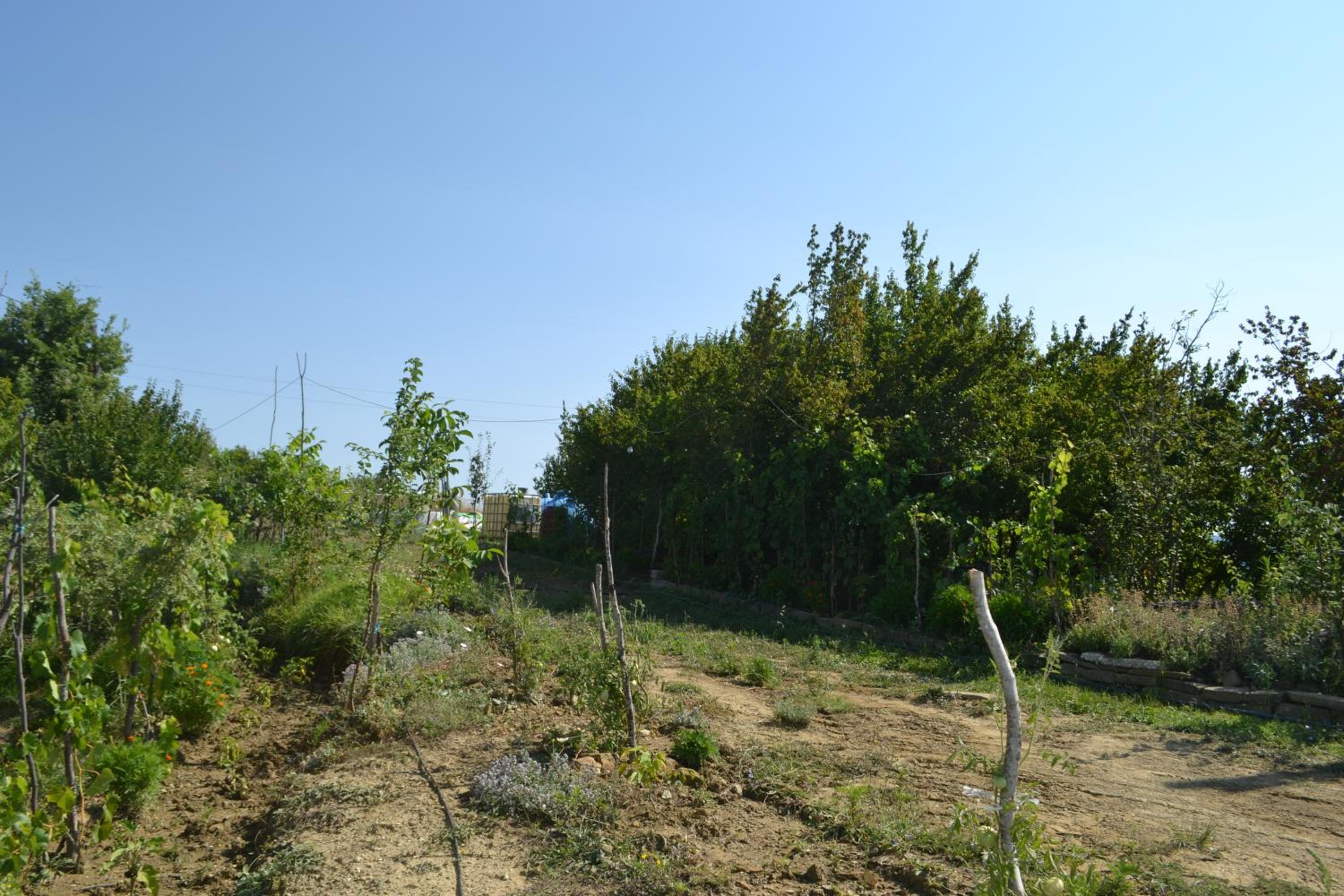 Camping & Guest House Murataj