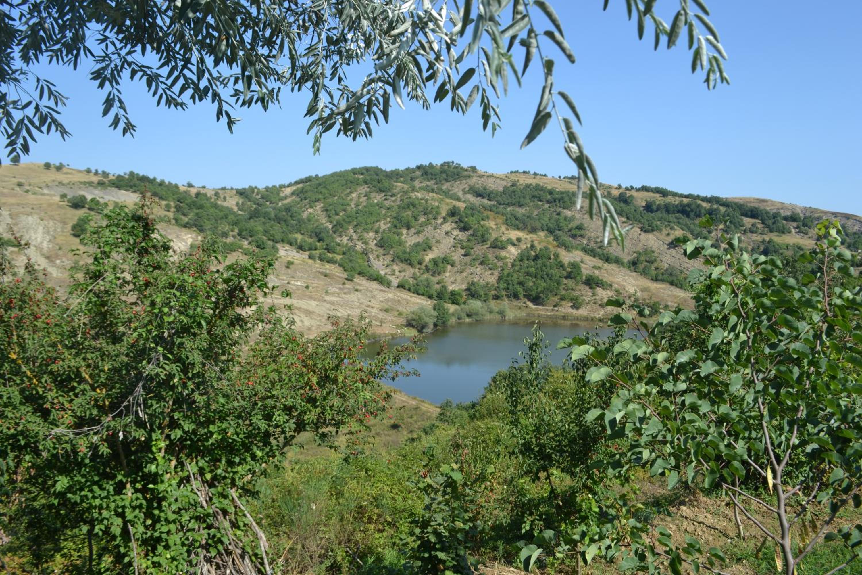 Camping & Guest House Murataj