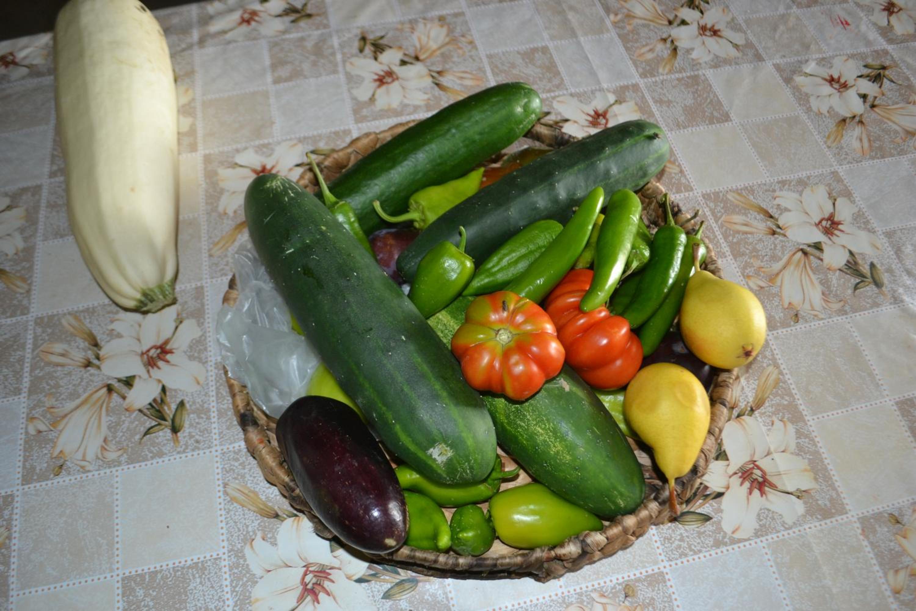 Camping & Guest House Murataj