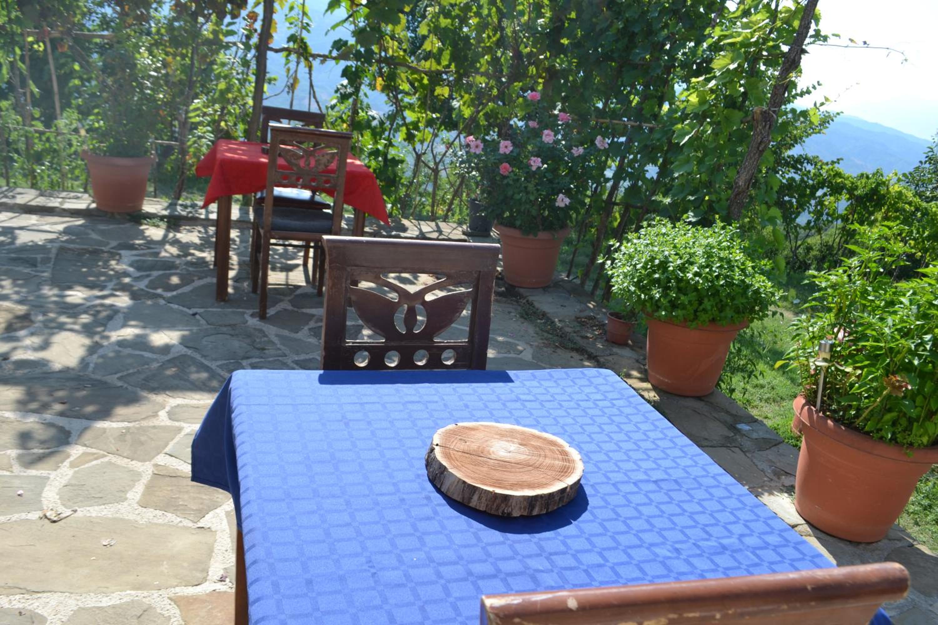 Camping & Guest House Murataj