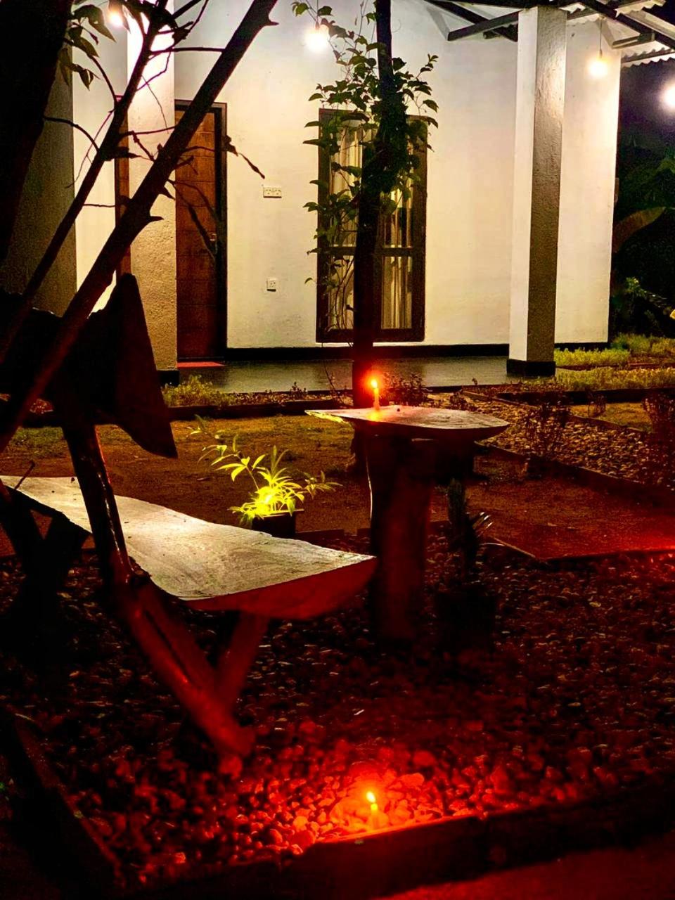 Banana Shade Cottage