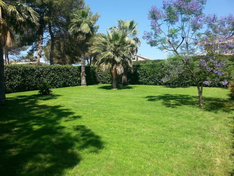 Villa Rosy