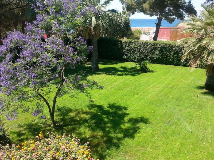 Villa Rosy