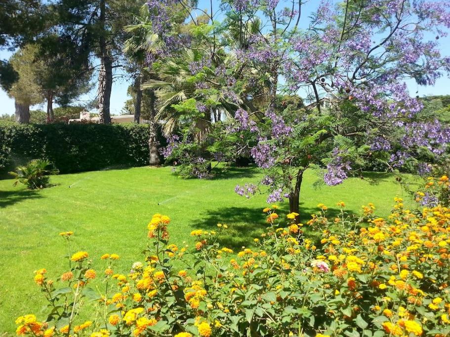 Villa Rosy