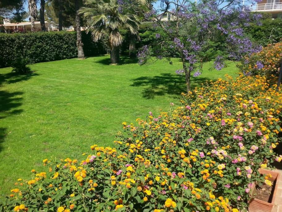 Villa Rosy
