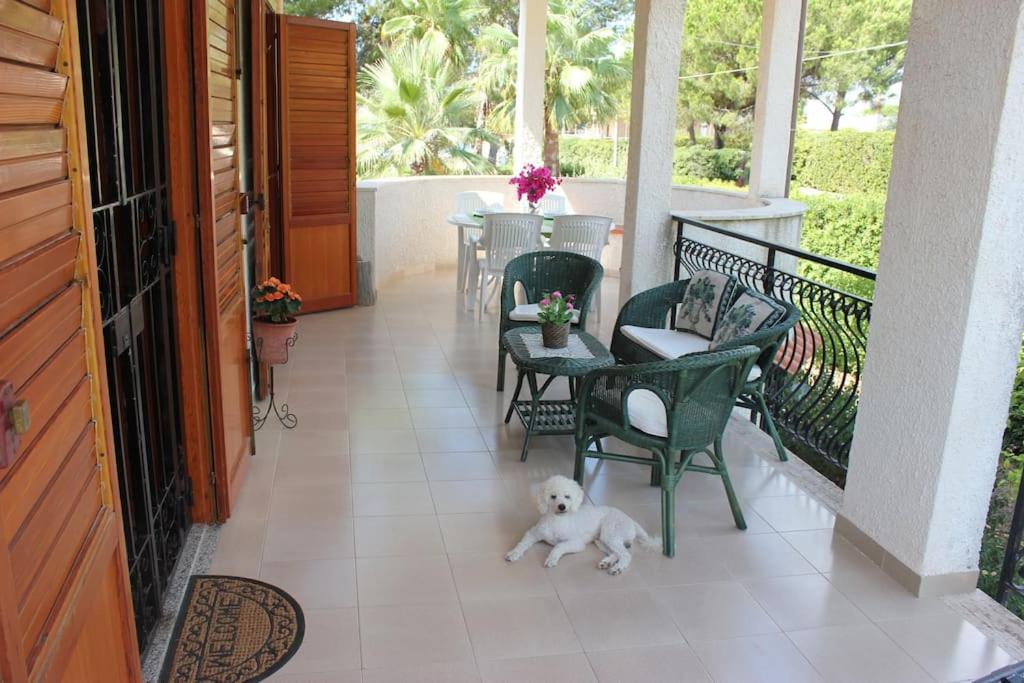 Villa Rosy