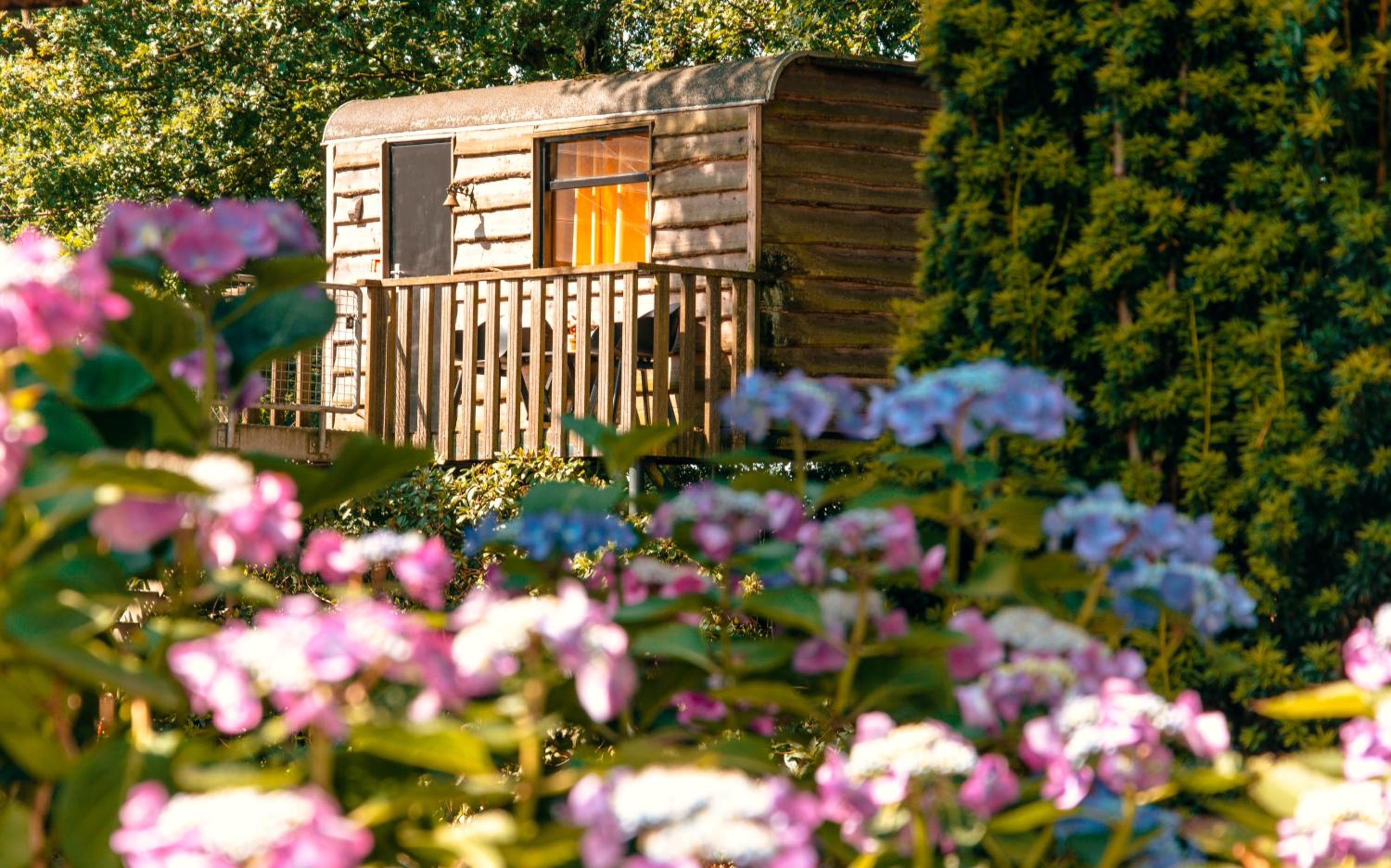 Bed  Brood Morgenrood - Property Image 1