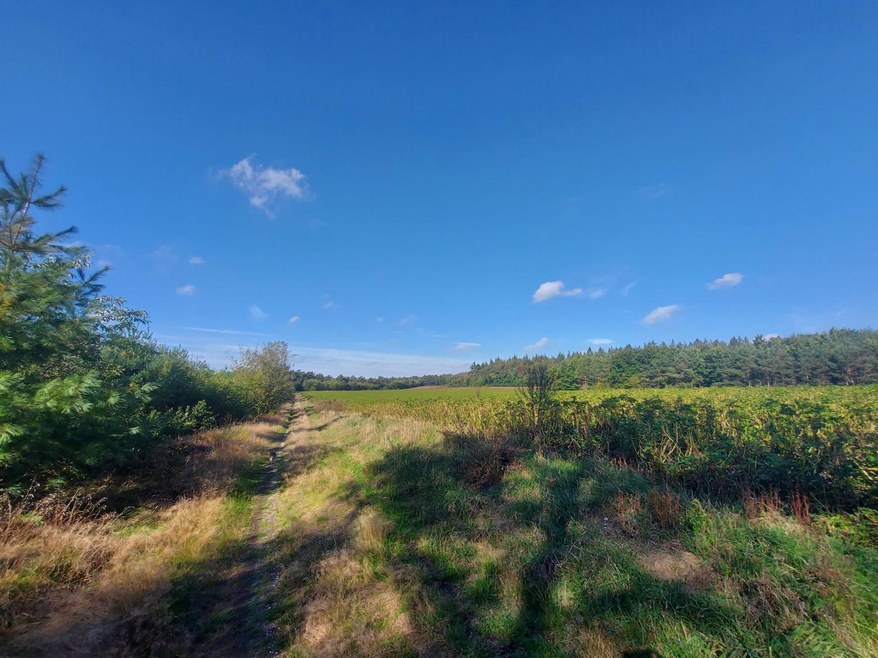 Bed  Brood Morgenrood - Property Image 30