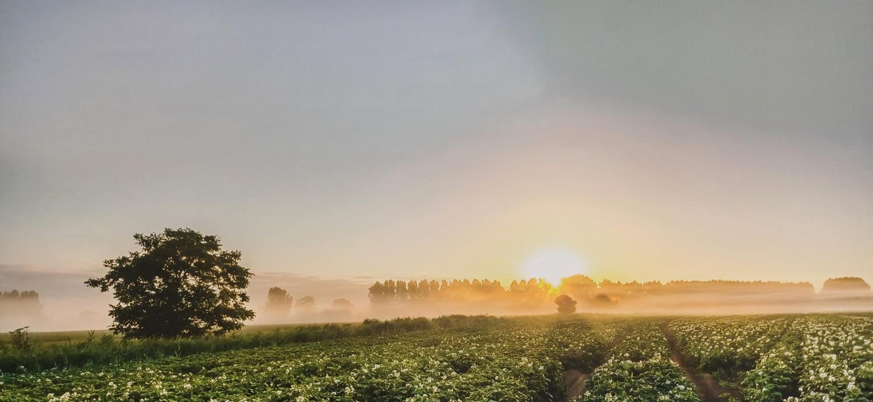 Bed  Brood Morgenrood - Property Image 6