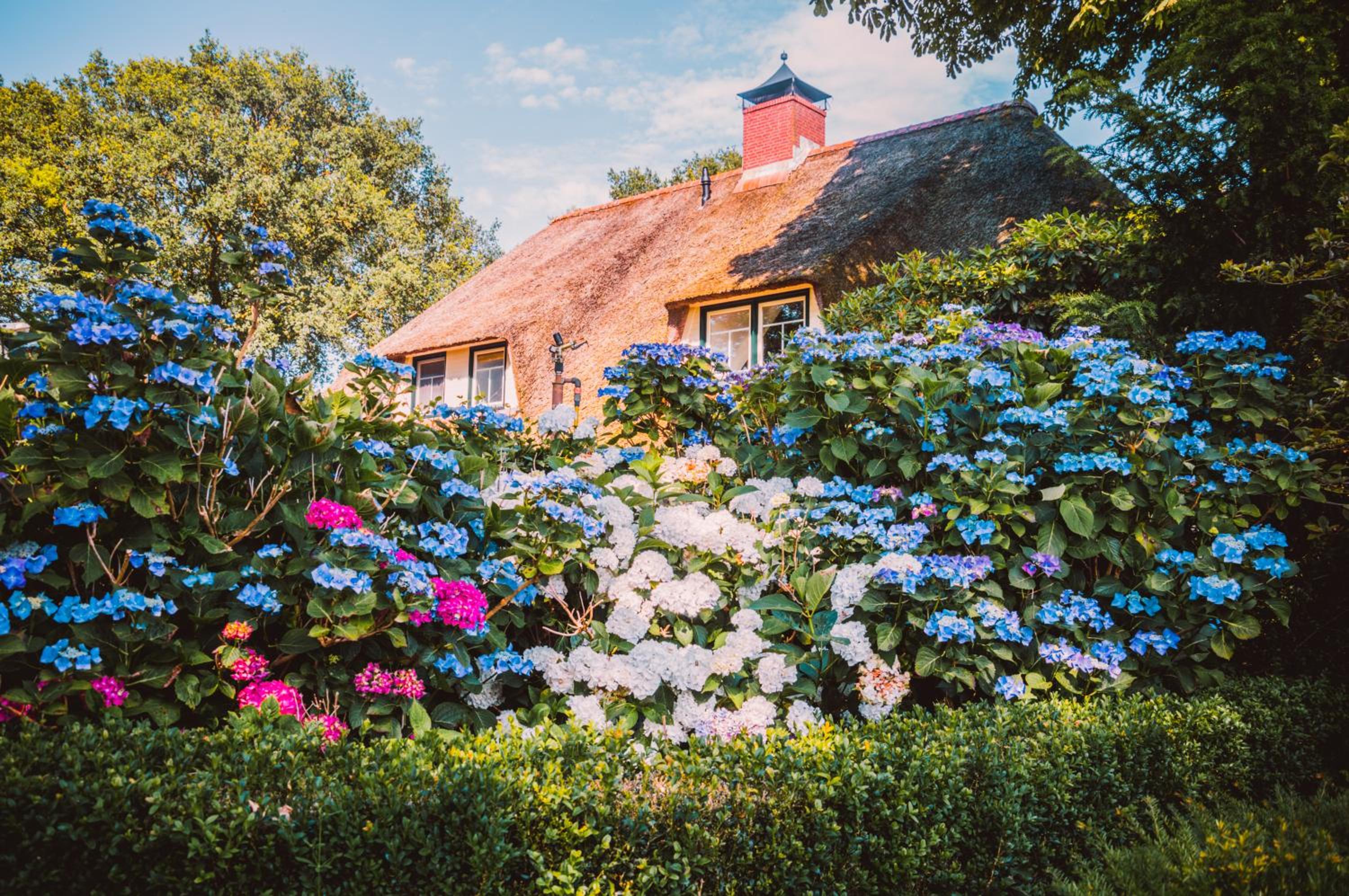 Bed  Brood Morgenrood - Property Image 4