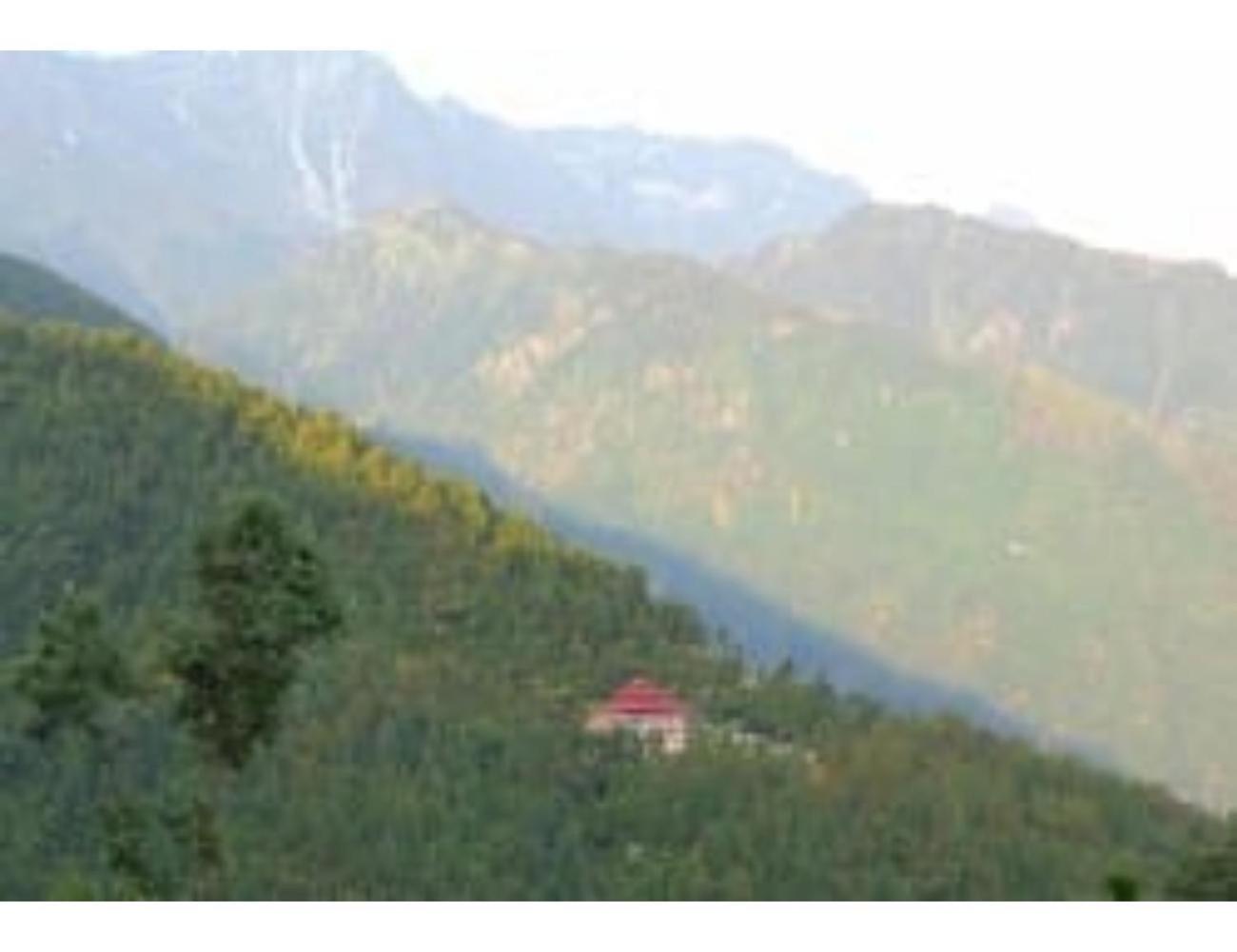 Hotel Morya, Kareri