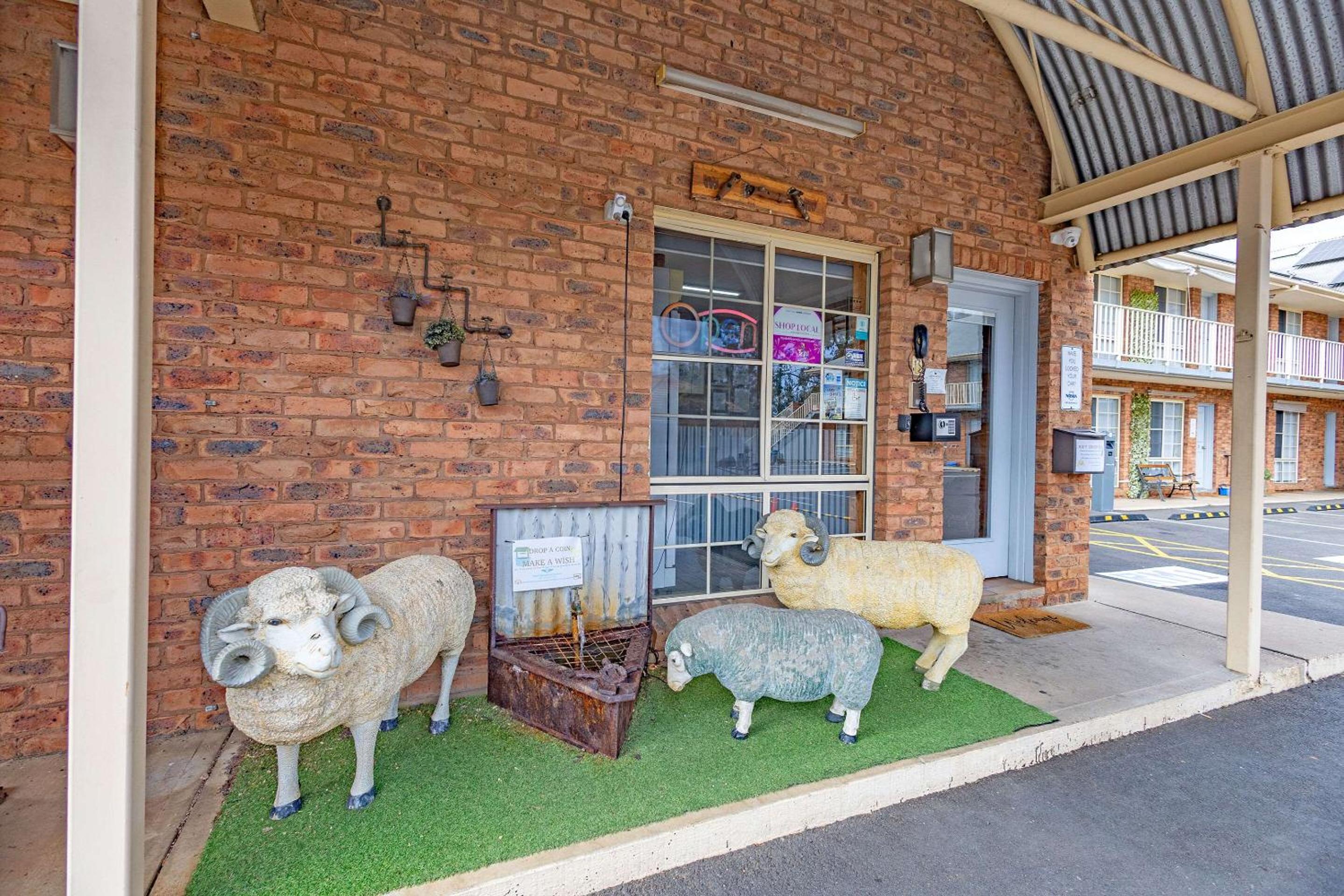 Shearing Shed Motor Inn