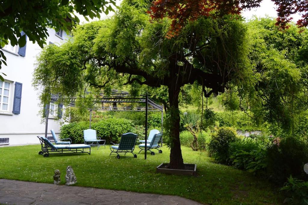 Great Charm Villa i Due Leoni Bellagio view 5