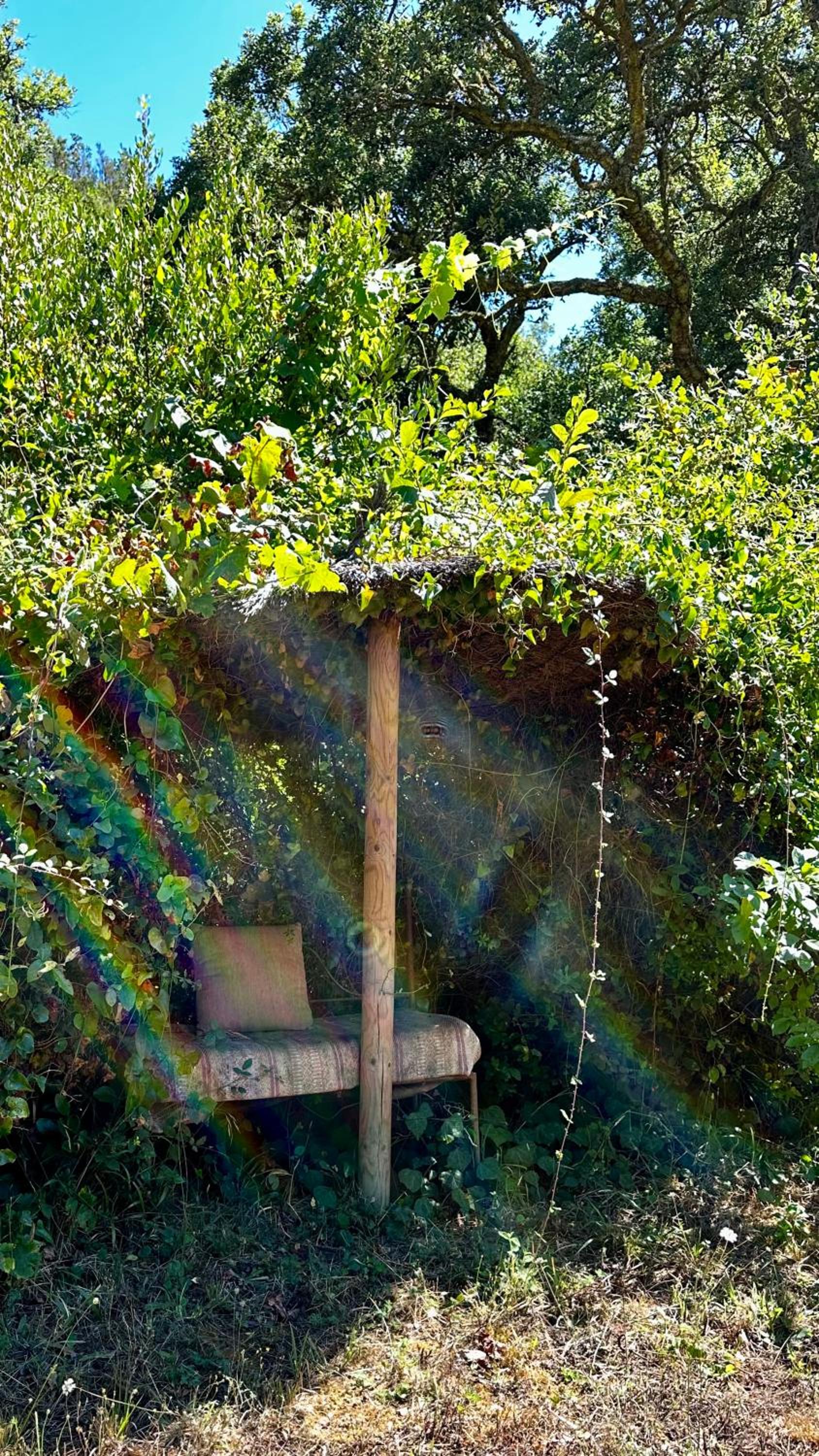 Casas da Cerca