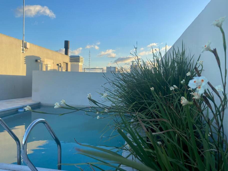 Guevara's Flat Views