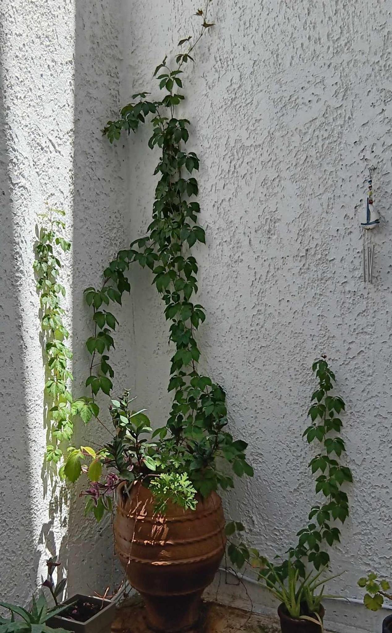 Athenian Asty Guesthouse