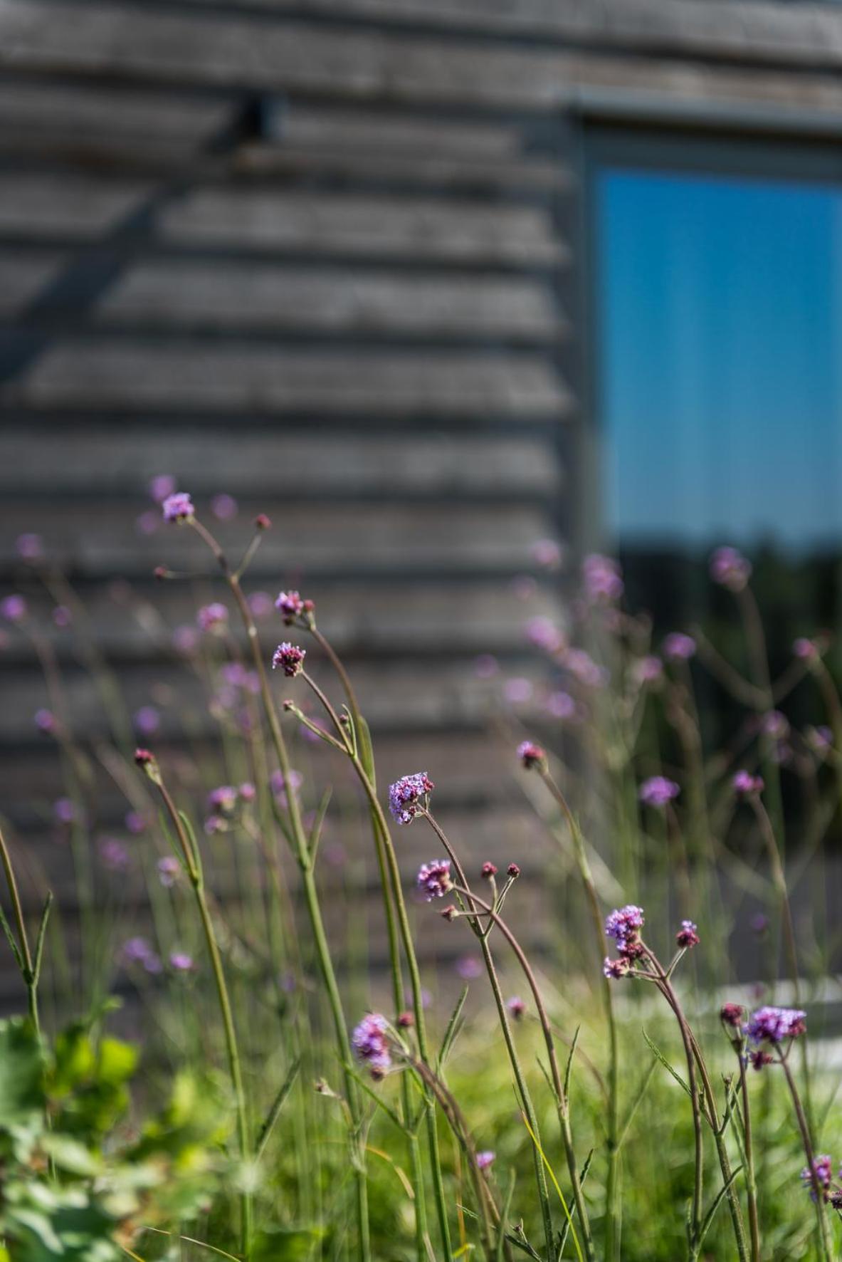 Vakantiehoeve Berckelaer, photo 42
