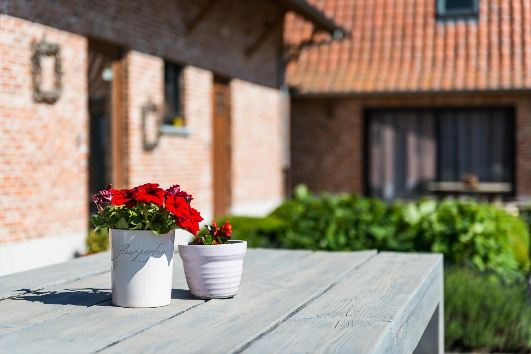 Vakantiehoeve Berckelaer, photo 90