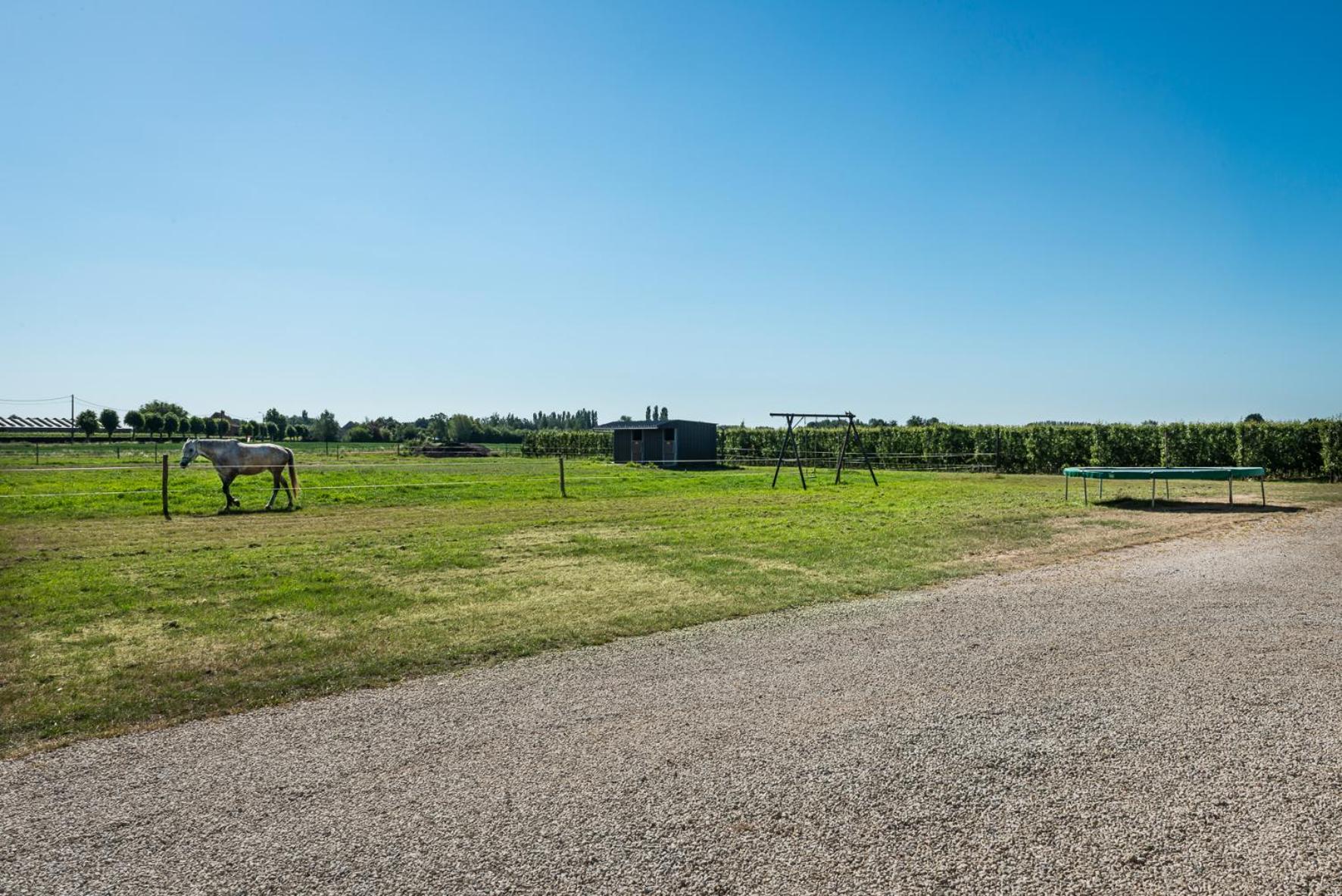 Vakantiehoeve Berckelaer, photo 19