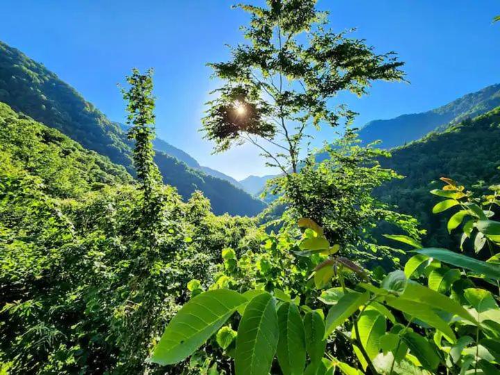 Nepoka in Machakhela
