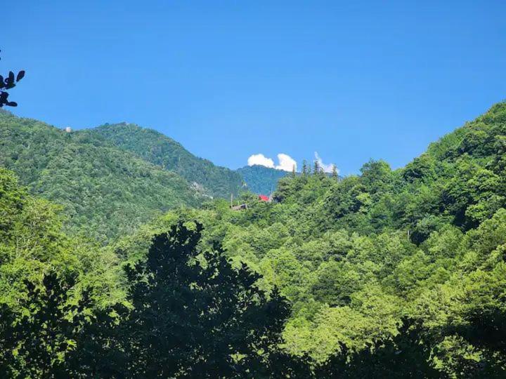 Nepoka in Machakhela