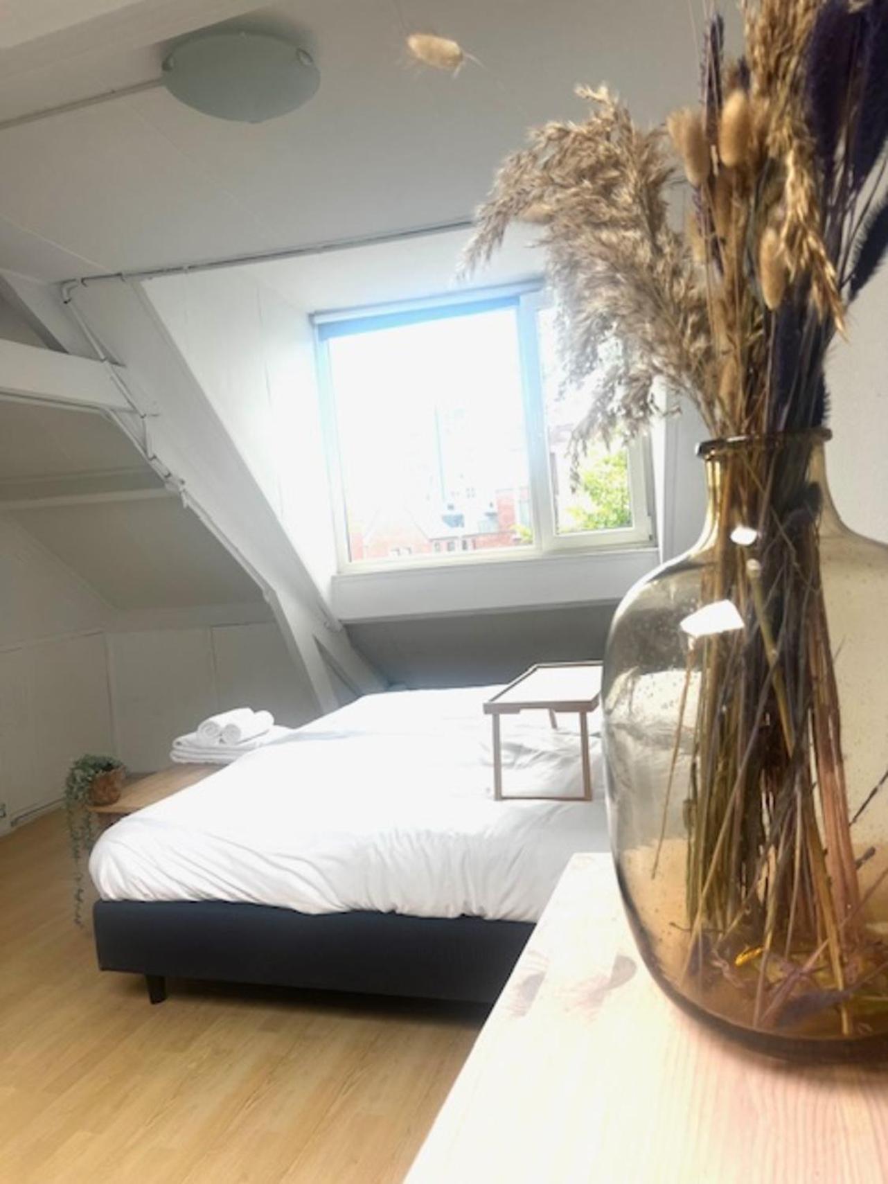 4p Apt With Rooftop Terrace At Piushaven Centrum view 5