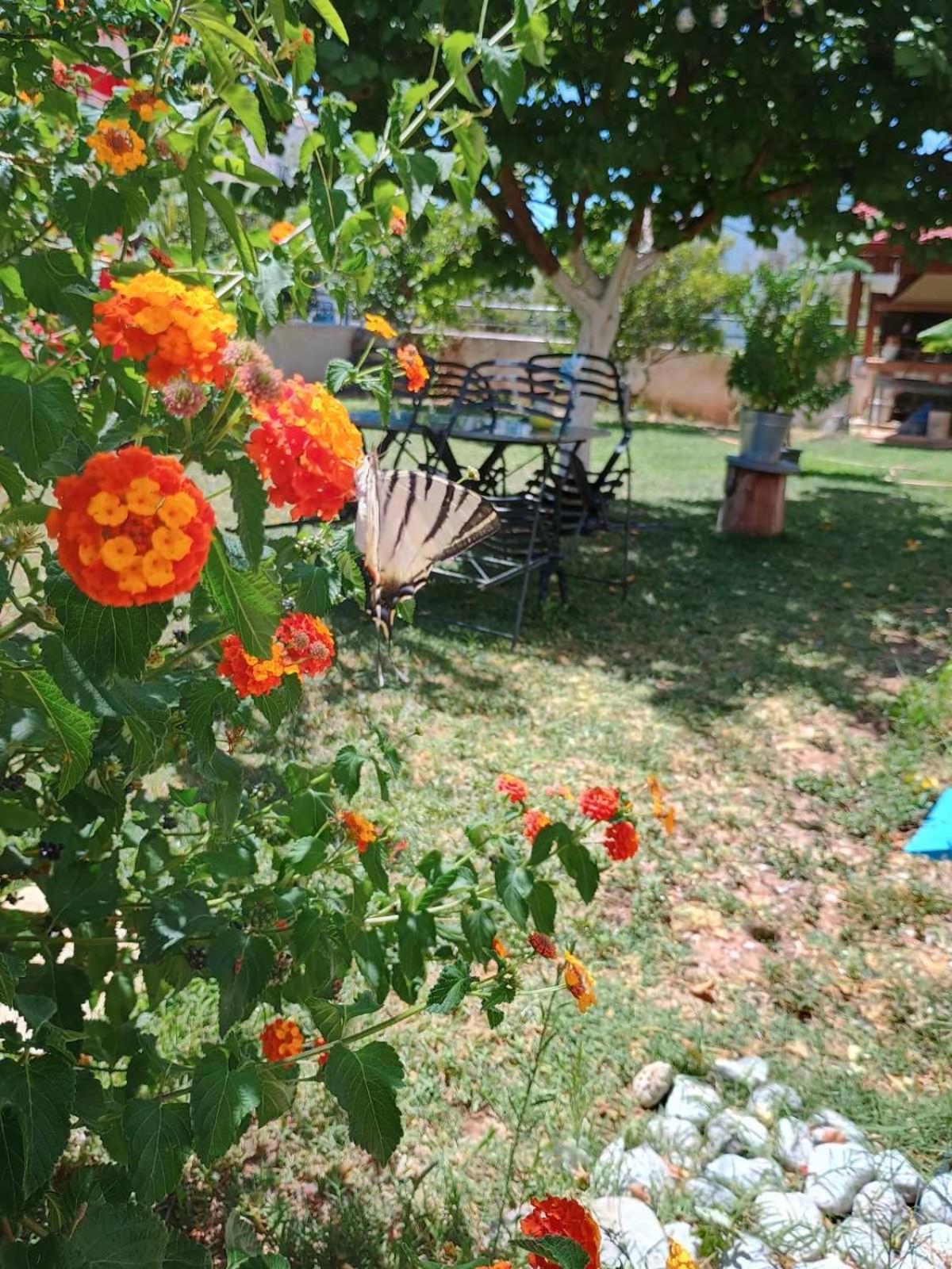 Photo 19