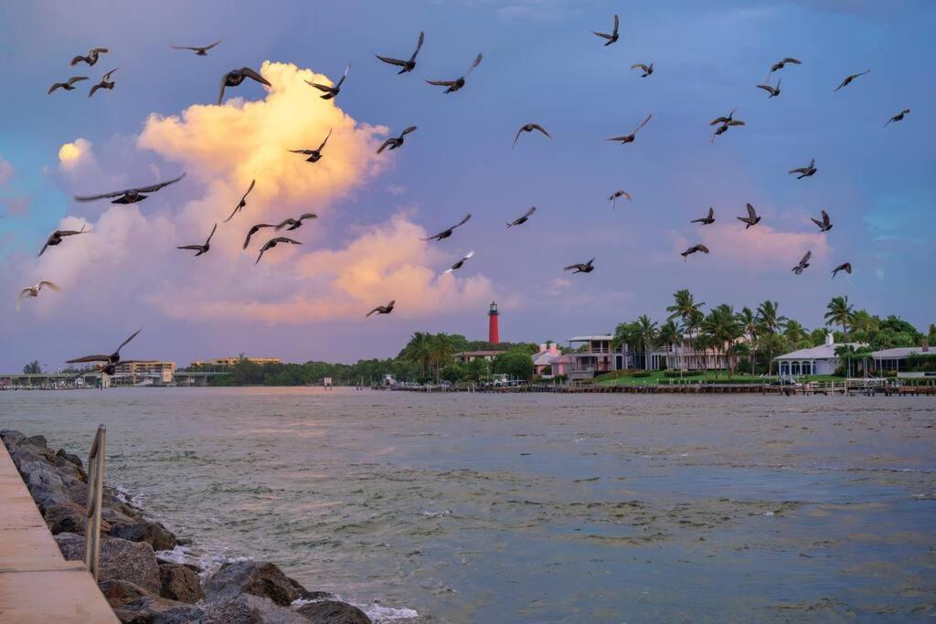 Tropical Jupiter Seascape with beautiful backyard