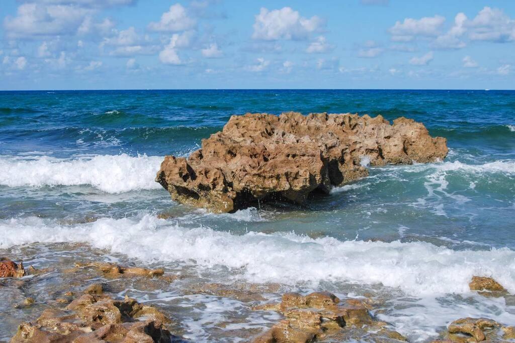 Tropical Jupiter Seascape with beautiful backyard