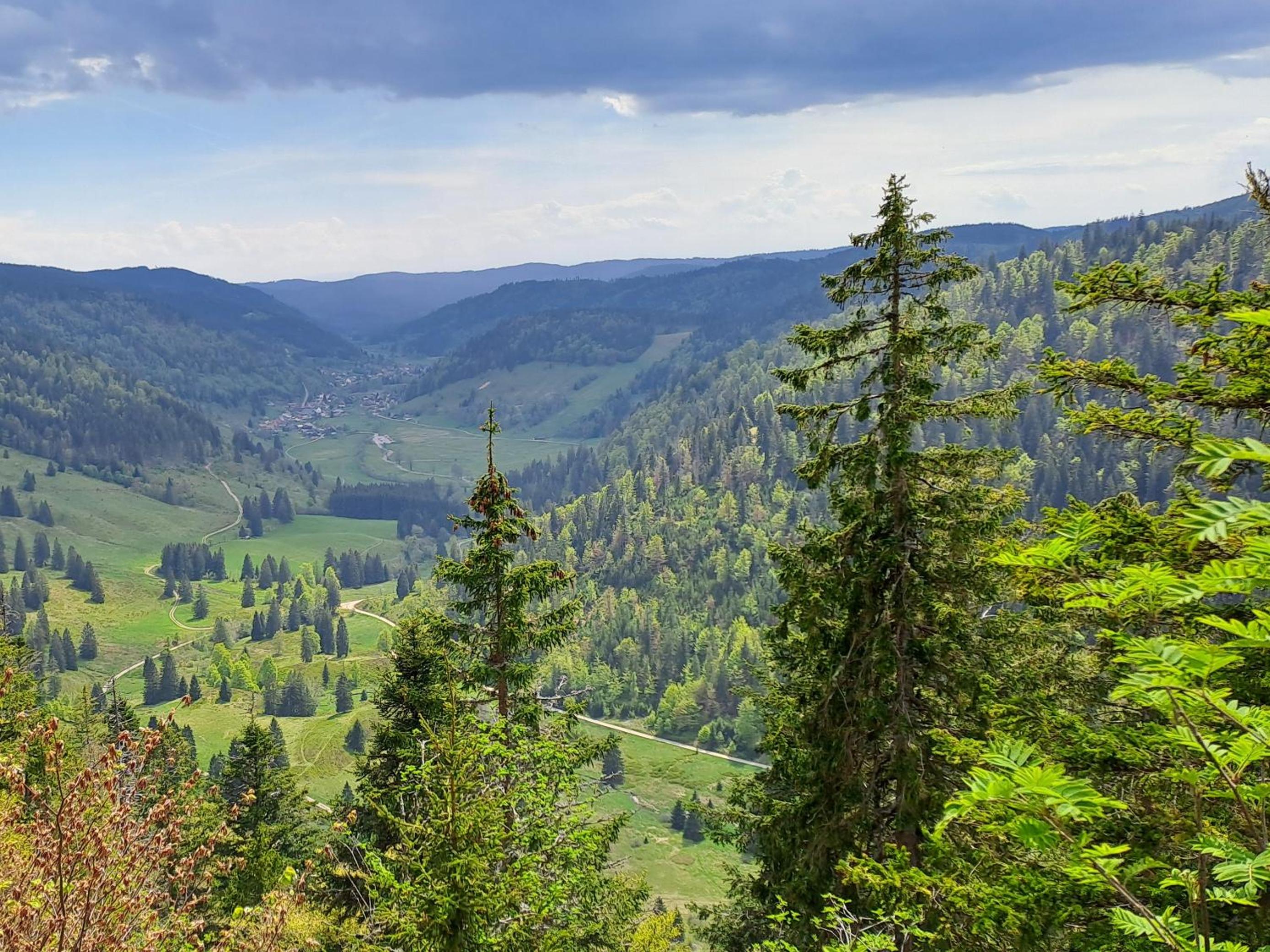 Daheim im Geissetal