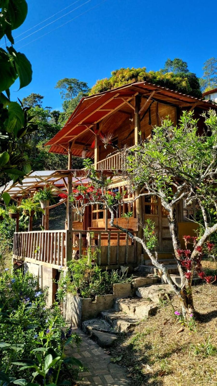 PANCHIGUA HOSTEL