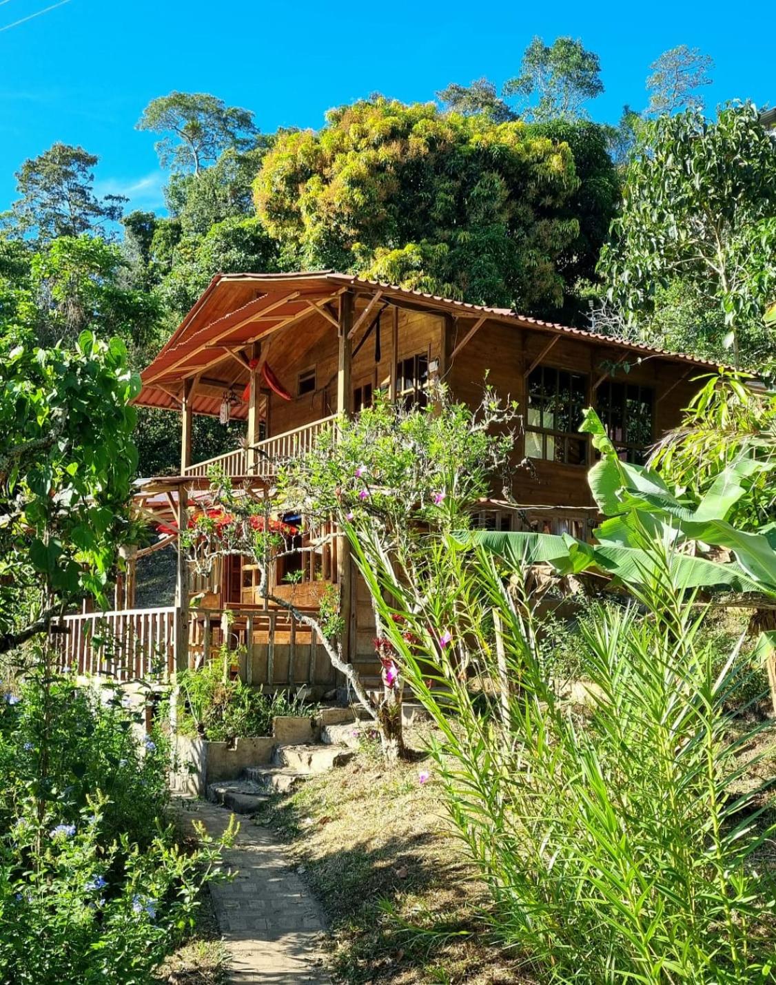 PANCHIGUA HOSTEL