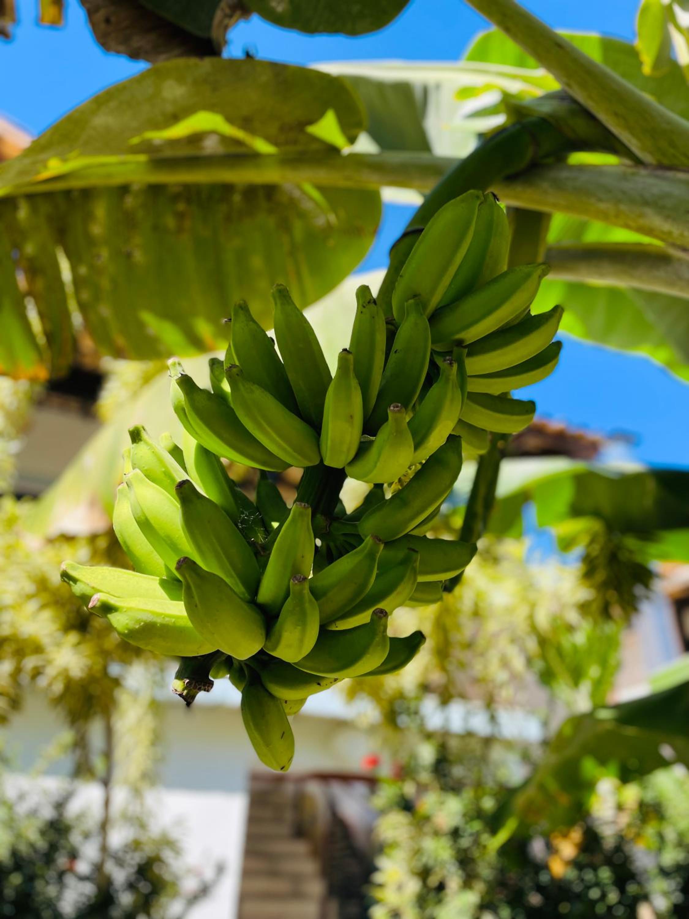 Aires de geribá