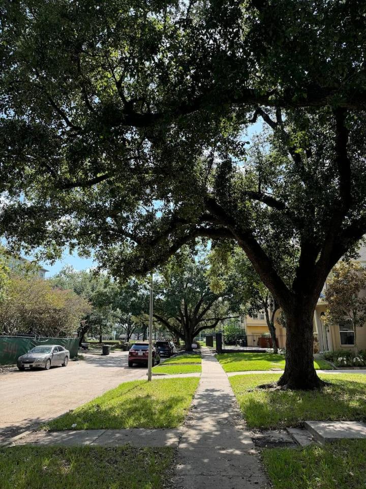 Spacious 1 Bdrm Studio Montrose view 2