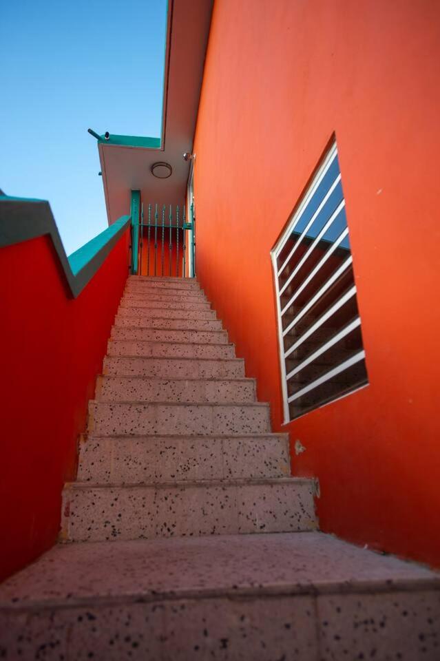 Brisa Tropical en la Isla del Encanto view 4