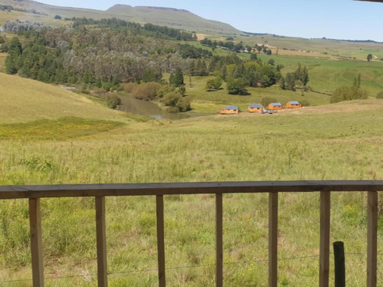 Tin Can Glamping Caravan