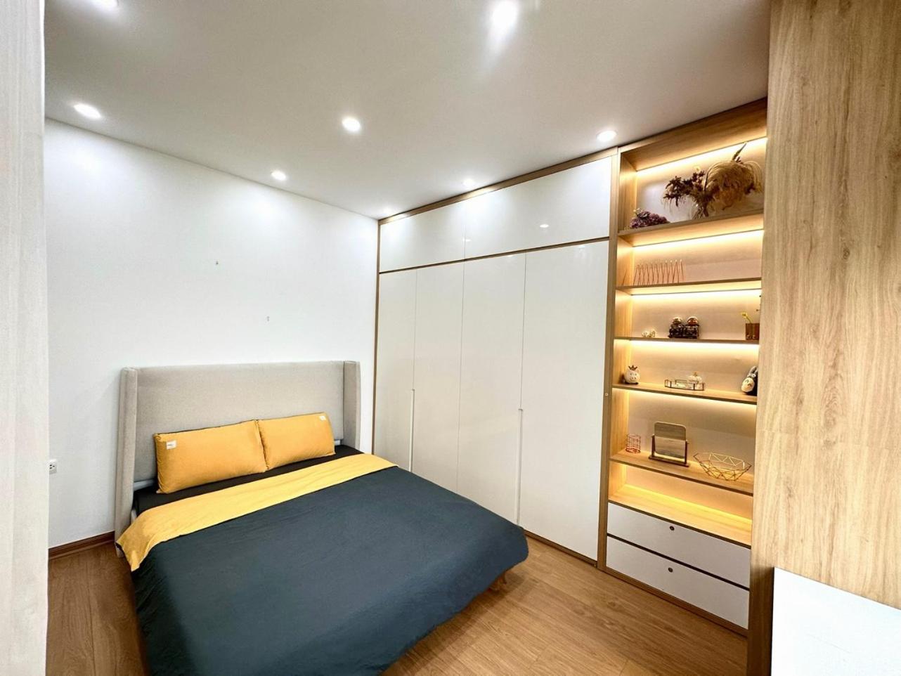 Vinhomes D'Capitale Hanoi - South Land