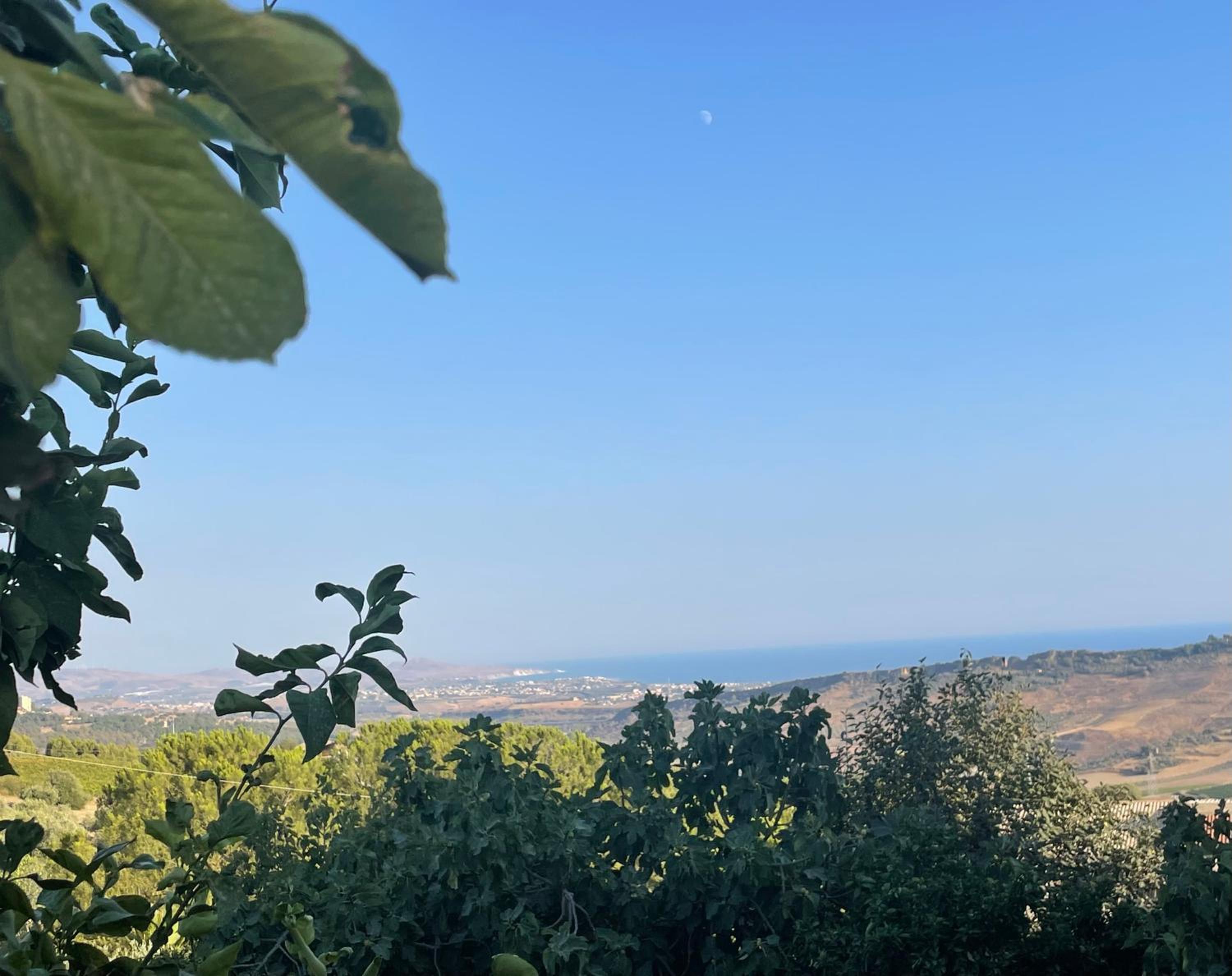 Collina di Girgenti view 4