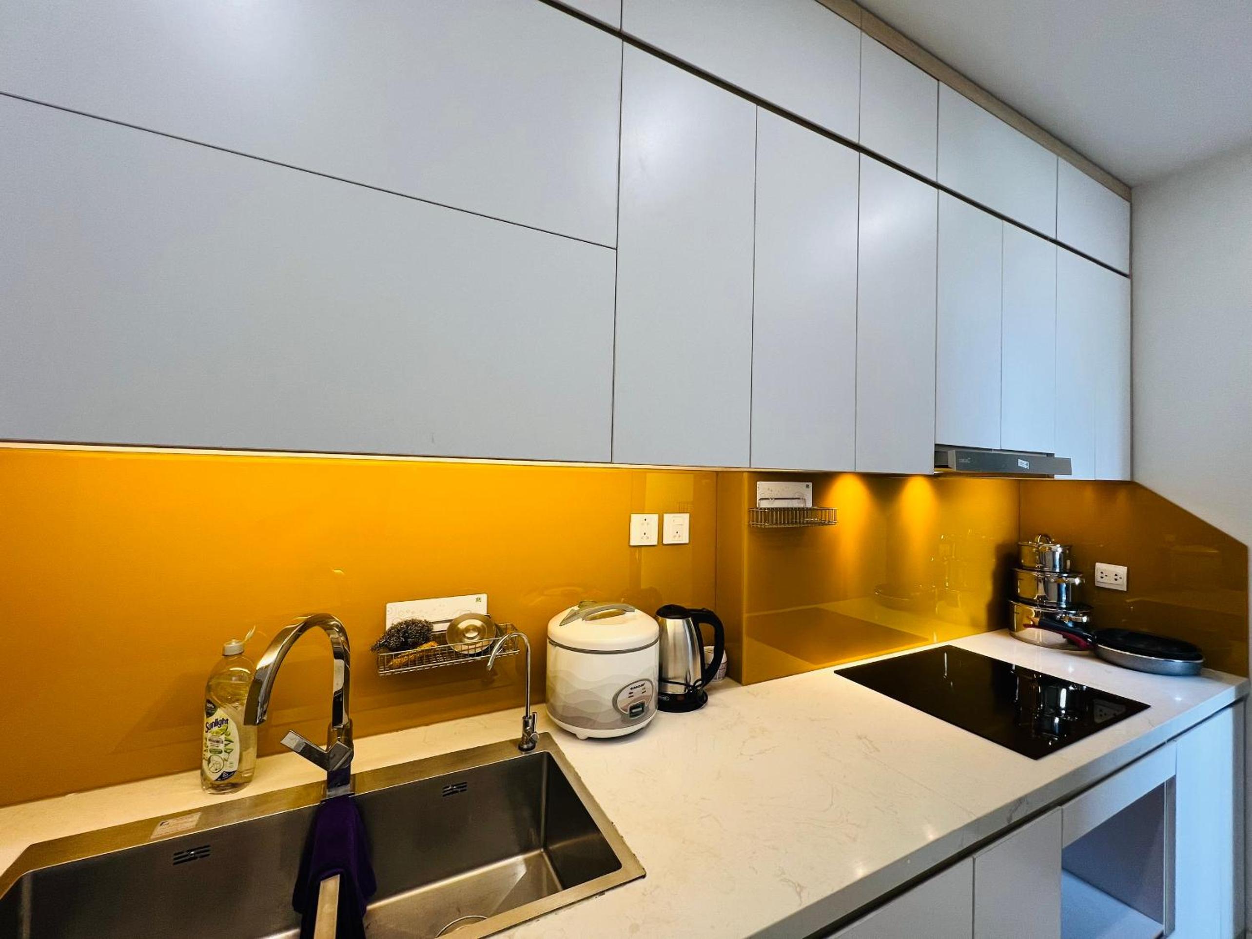 Vinhomes D'Capitale Hanoi - South Land