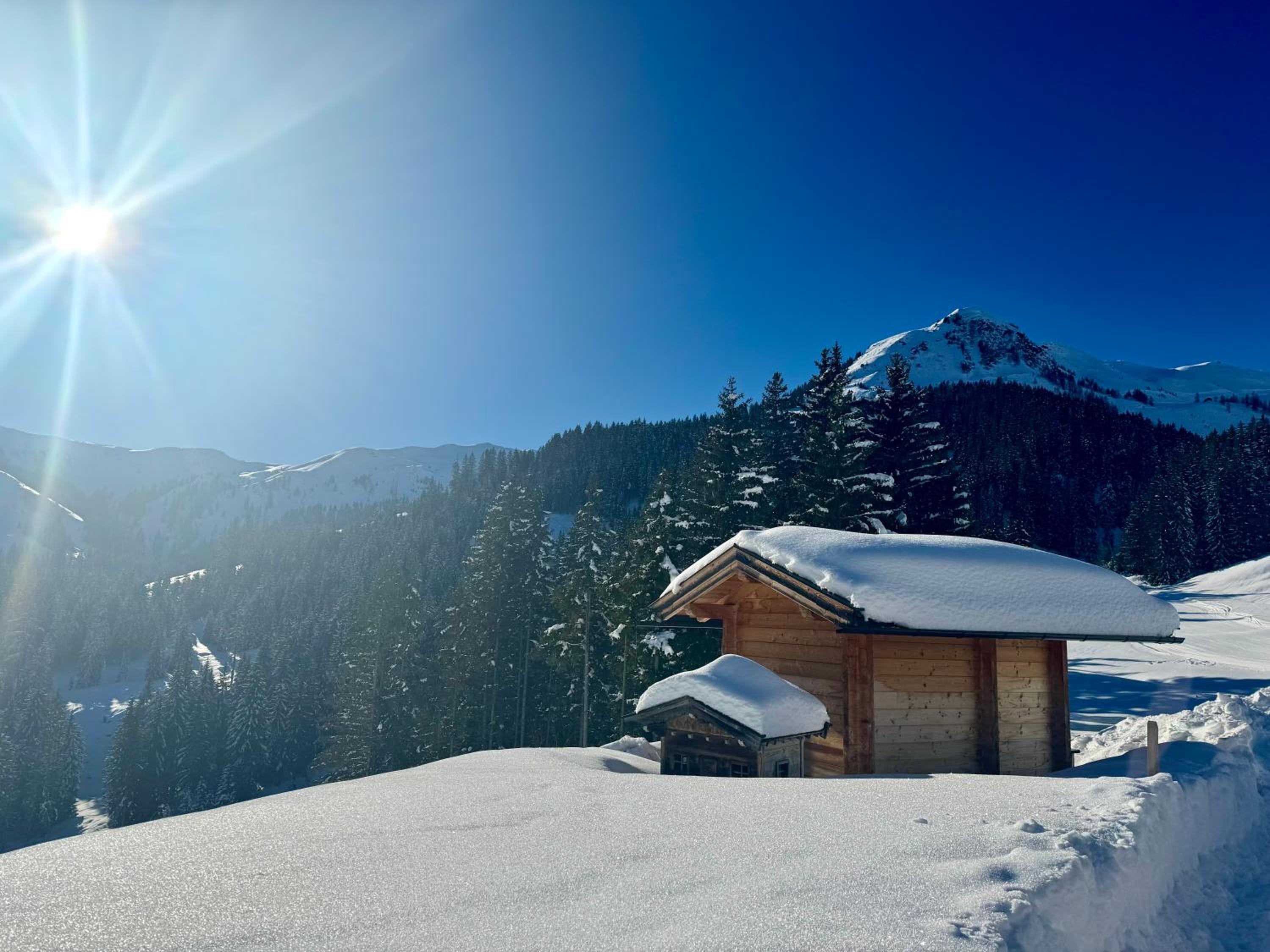 Panoramic Penthouse 10 min to Zell am See & Kaprun