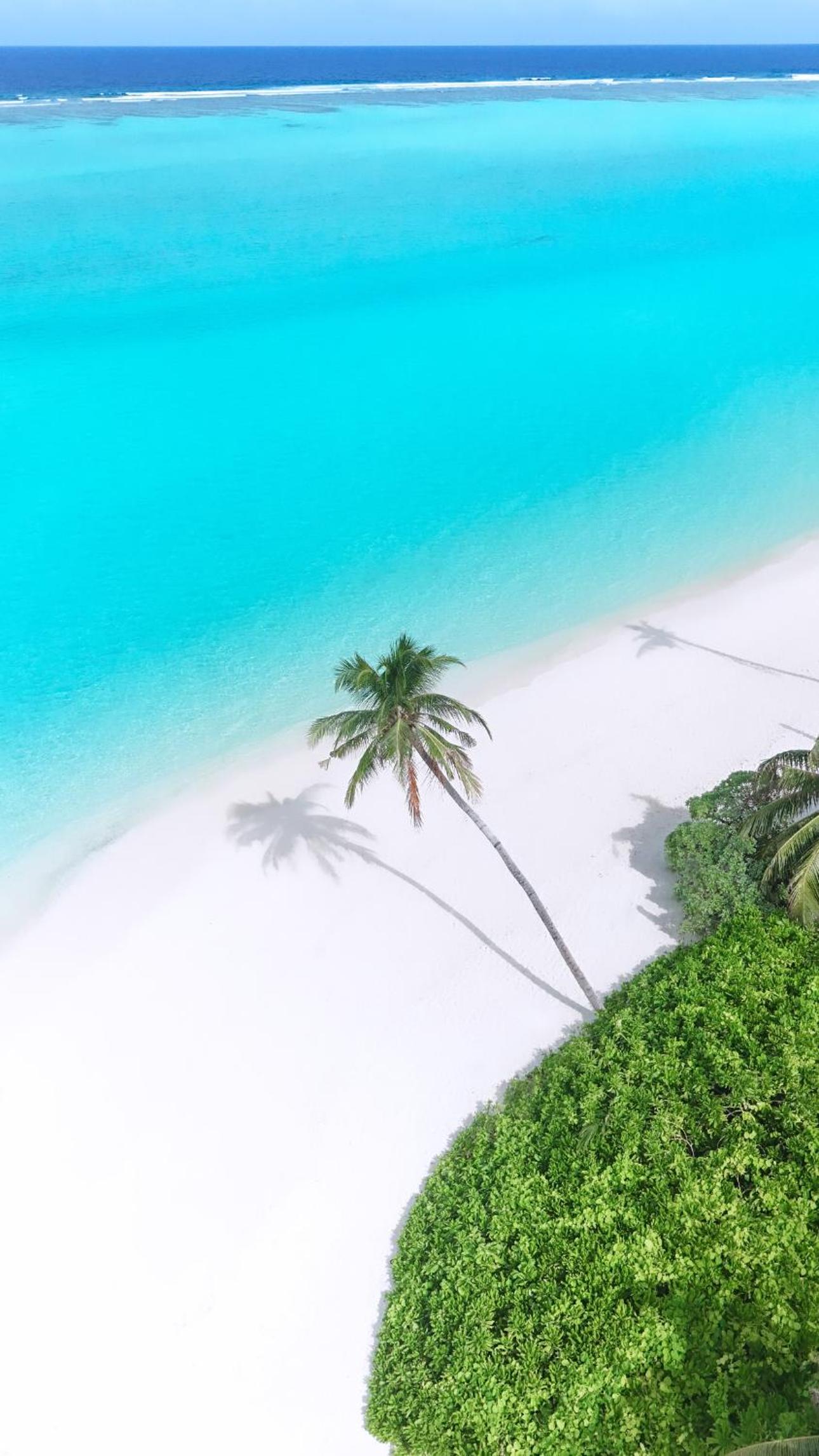 Vegas Thoddoo Maldives view 2