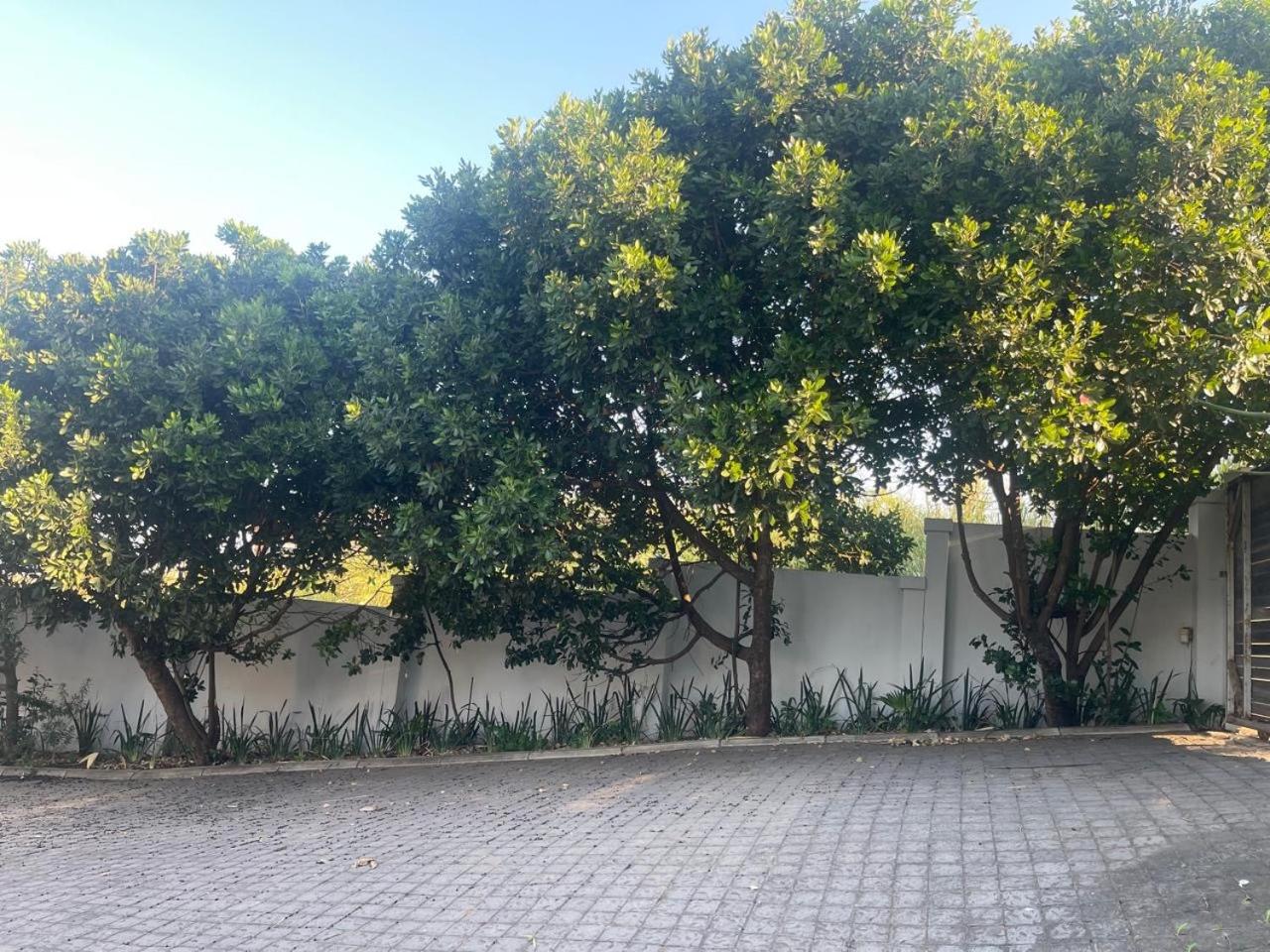 Milkwood Beach House