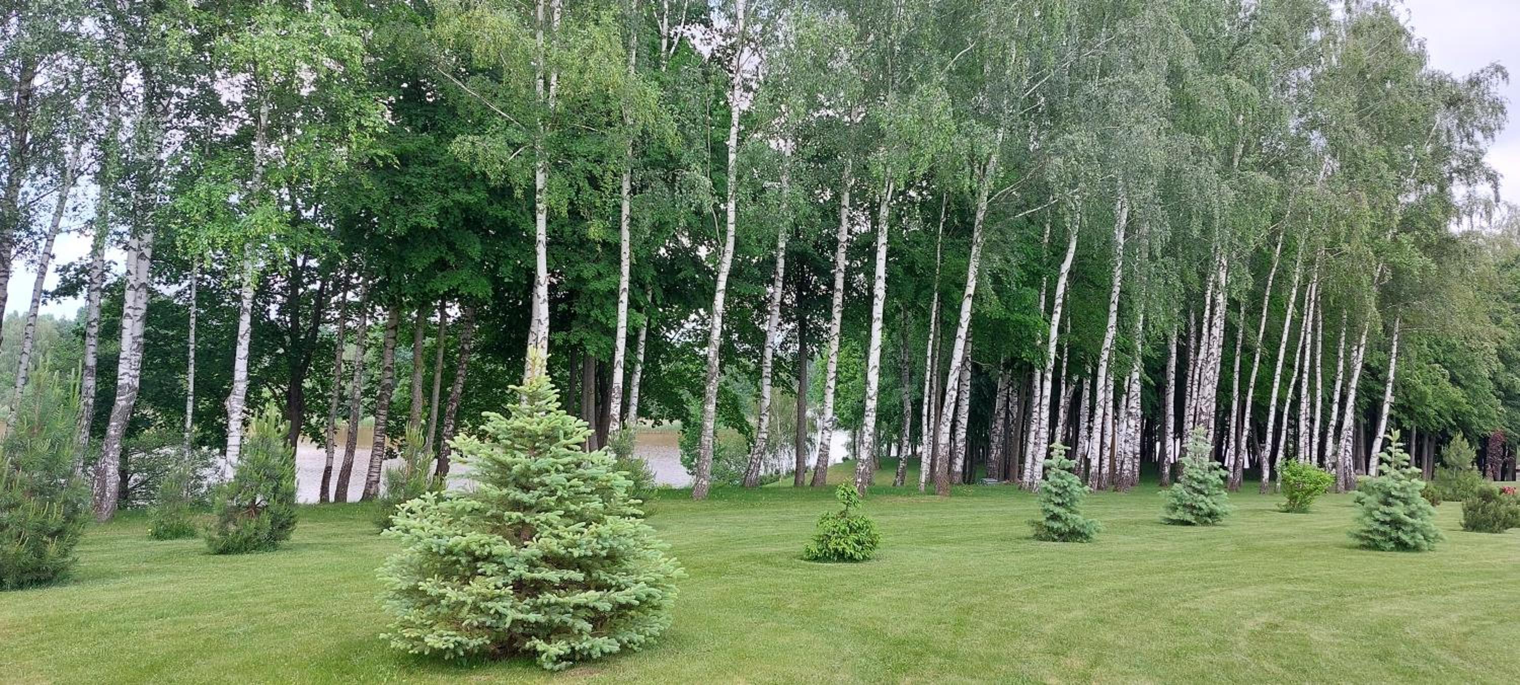 Photo 45