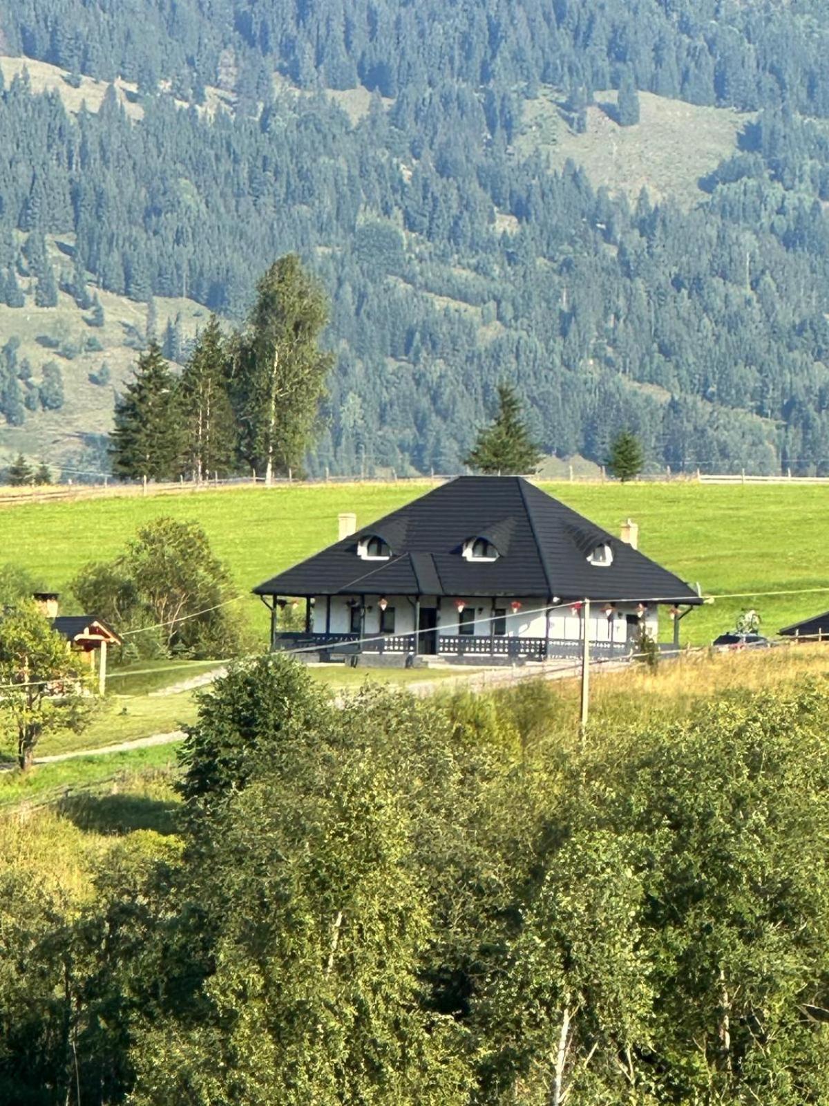 Casa Bunicii view 2