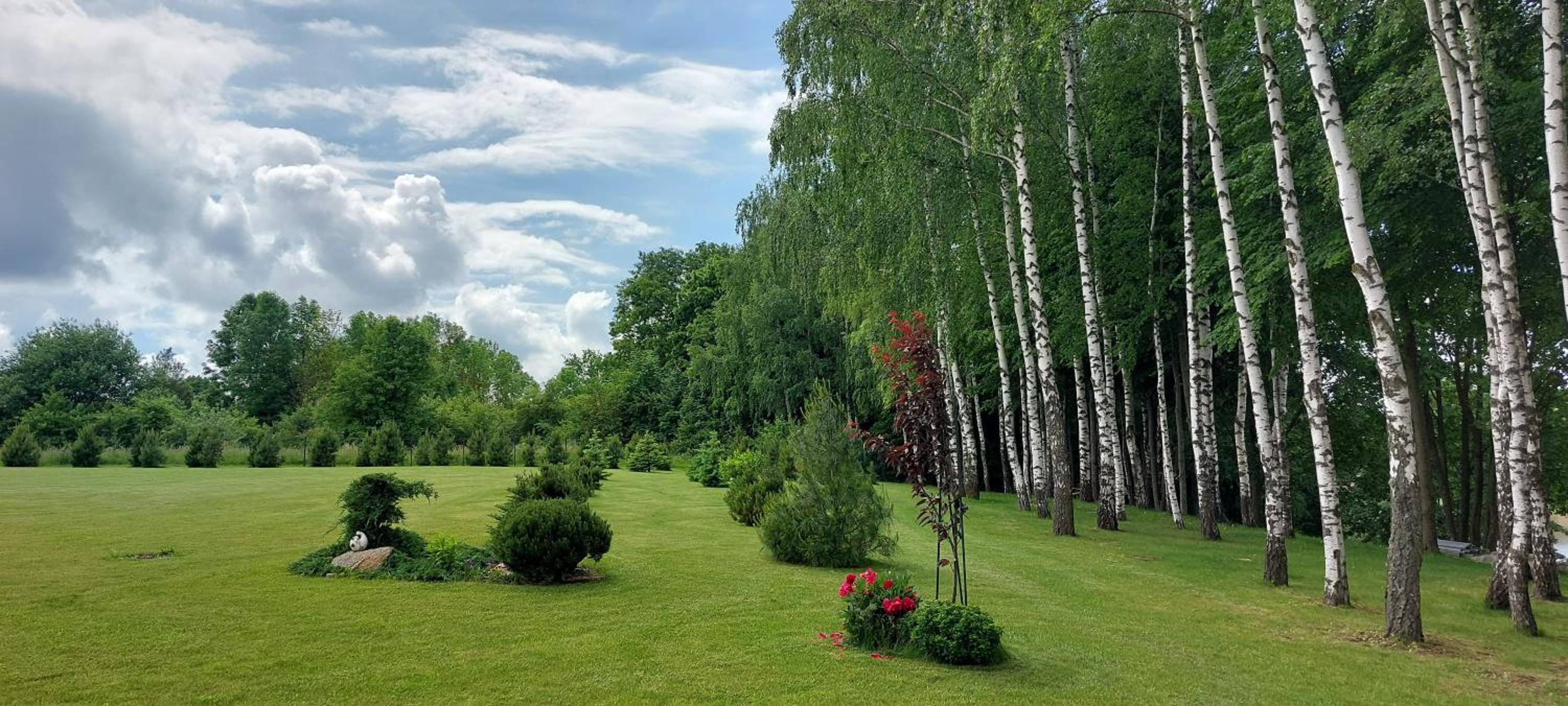 Photo 46