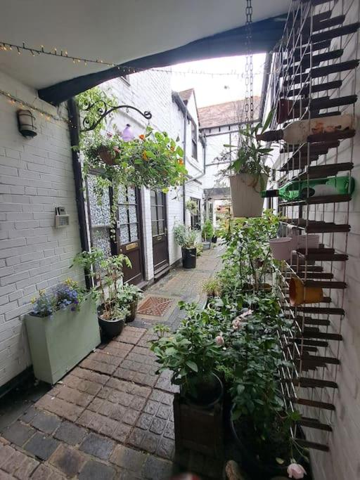 The Quaint Old Shop