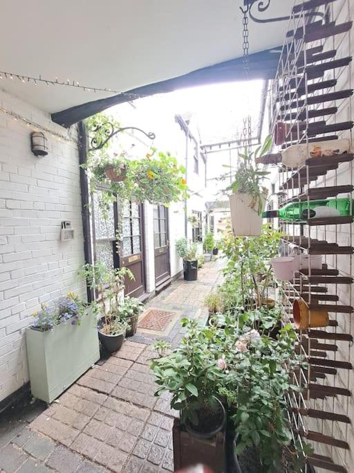 The Quaint Old Shop