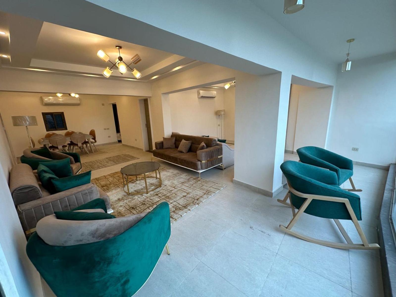 Nile view Apartment El Dokki