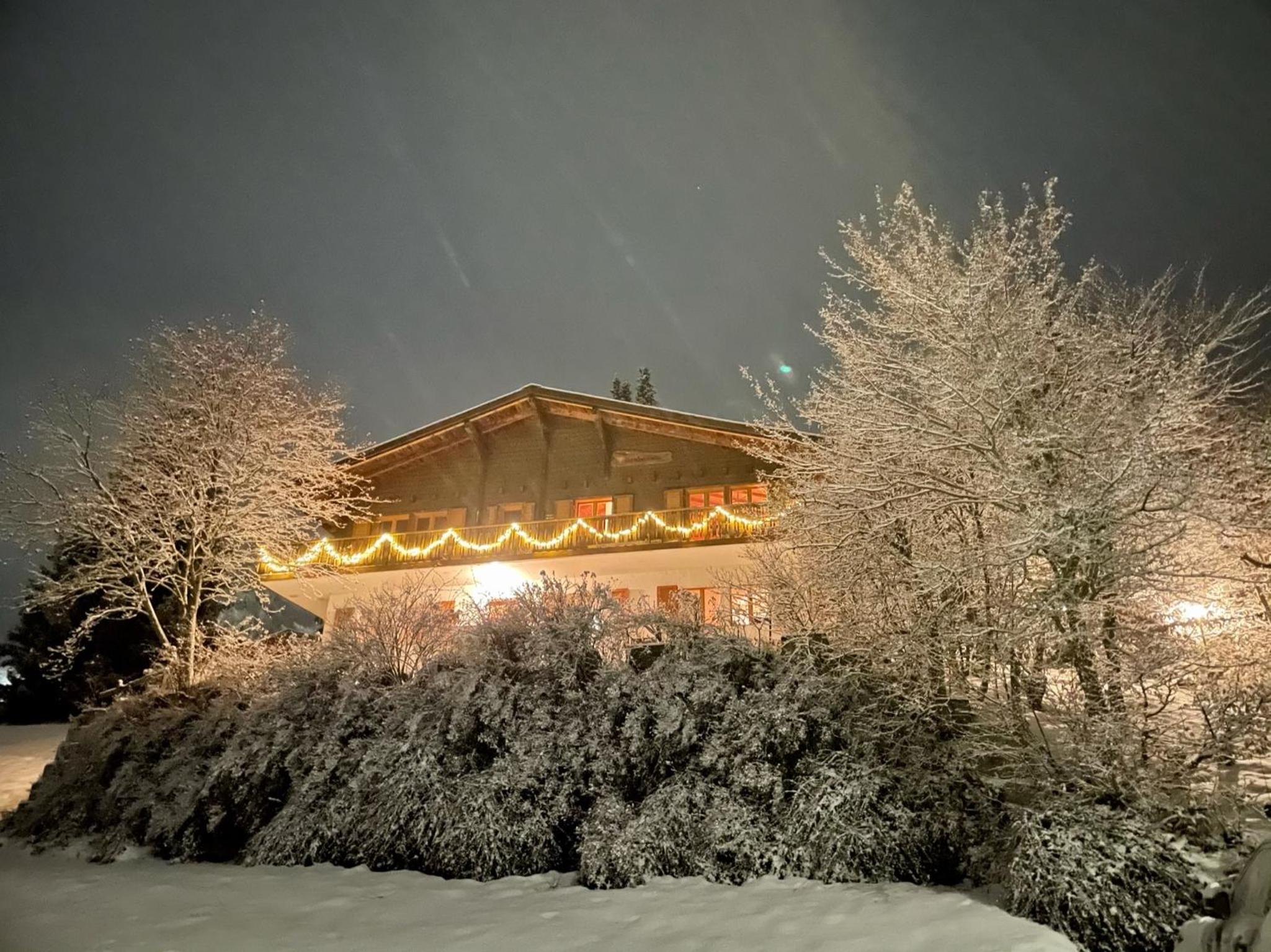 Alpenchalet Trutmundi undri view 3