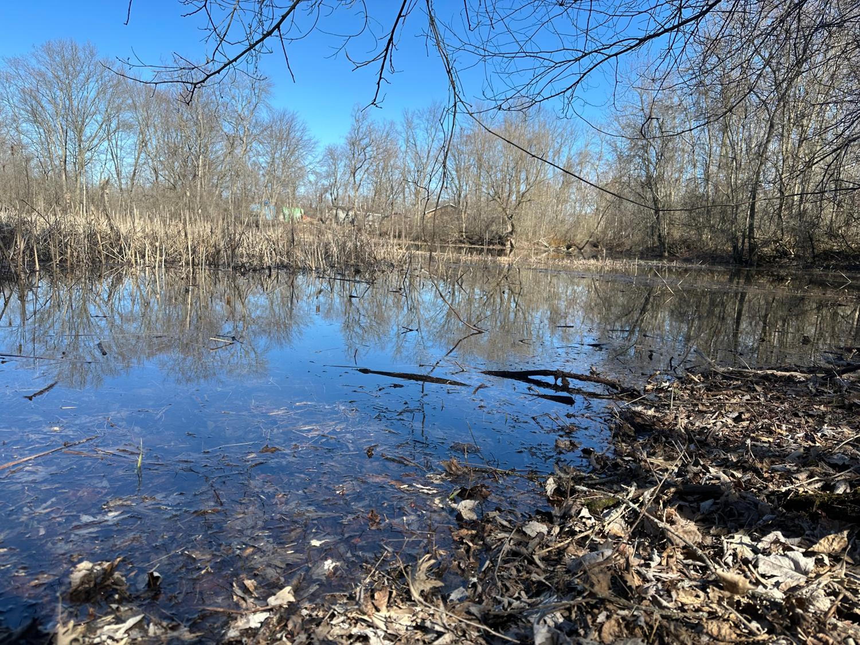 Belleville Vacations - Riverside Stylish 4Bedroom - Property Image 18